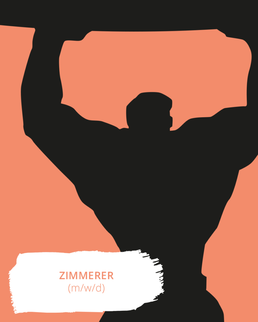 teaser-zimmerer